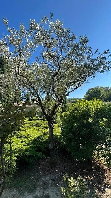 En Drome Provencale Mazet De Charme Avec Piscine Villa Mirabel-aux-Baronnies 0*,