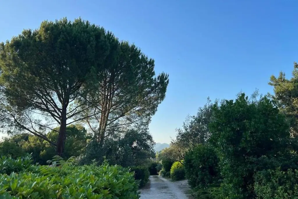 Holiday home En Drome Provencale Mazet De Charme Avec Piscine Villa Mirabel-aux-Baronnies