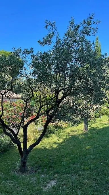 En Drome Provencale Mazet De Charme Avec Piscine Villa Mirabel-aux-Baronnies Holiday home